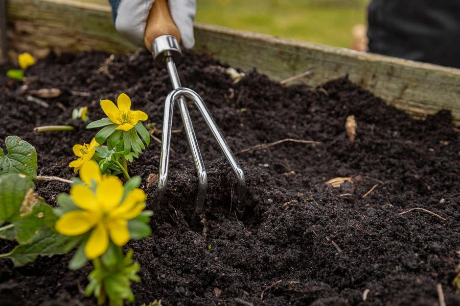 BAMBUS' kläckningsklo - Blomsterverden